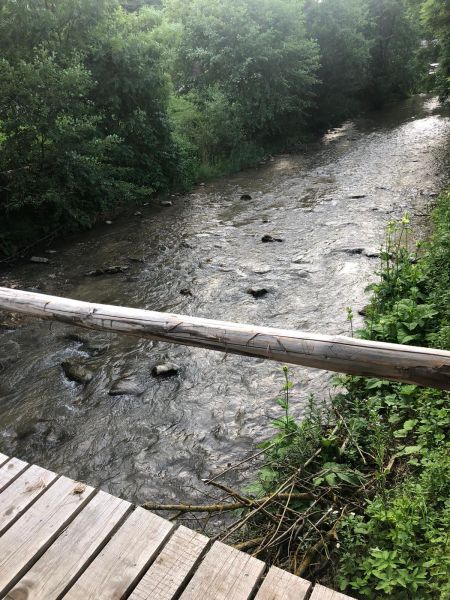 Casa Mariflor Vama Buzaului